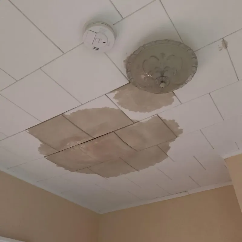 Ceiling Water Damage Repair in Avon, NY